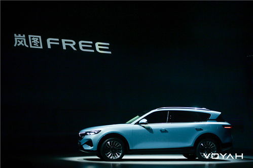 嵐圖FREE首秀后,盧放雷新兩位掌門人談了談嵐圖的下一步